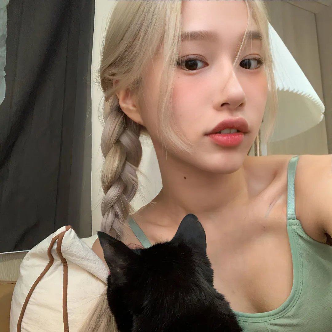 猫咪心动奇迹